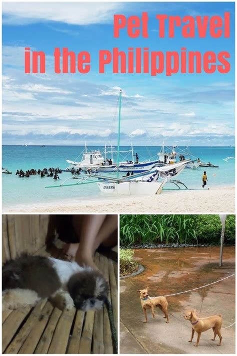 pet friendly resorts philippines|Pet.